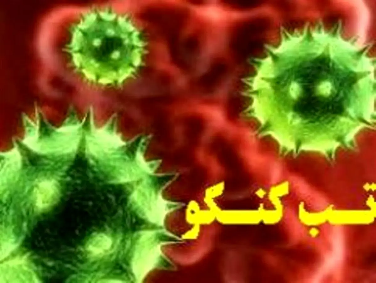 50 درصد مبتلایان به تب "کریمه کنگو" جان خود را از دست می دهند