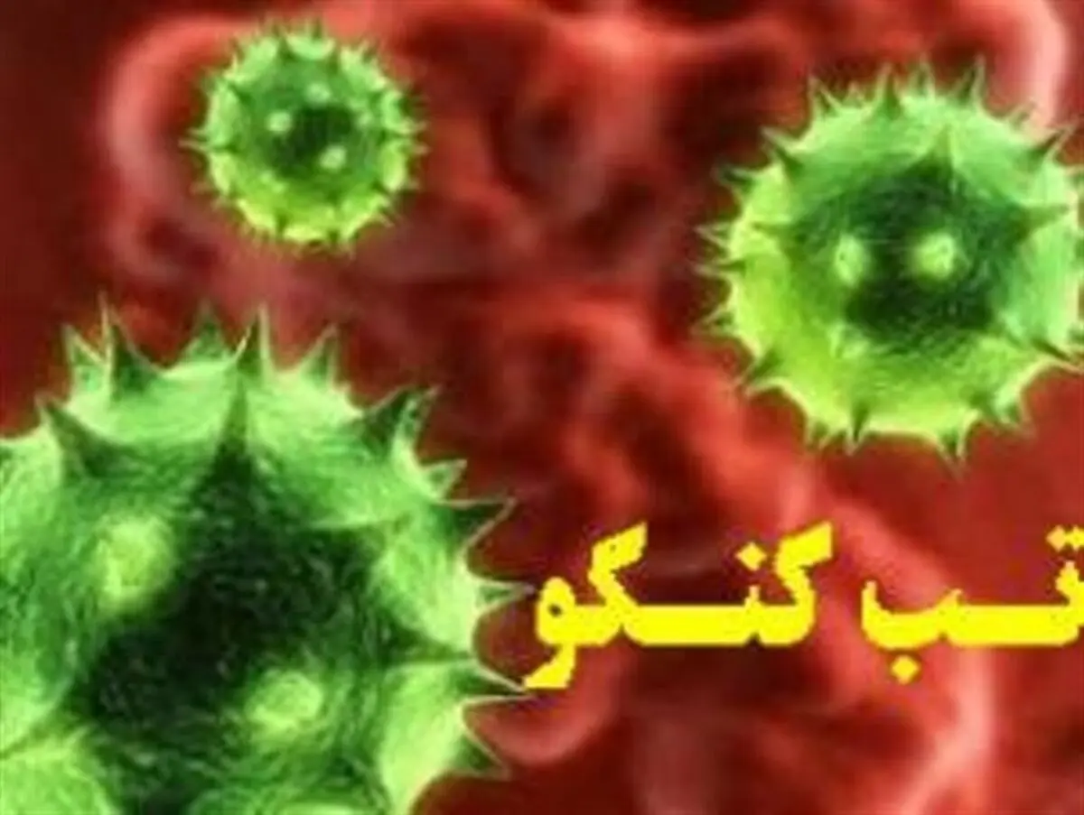 
50 درصد مبتلایان به تب "کریمه کنگو" جان خود را از دست می دهند