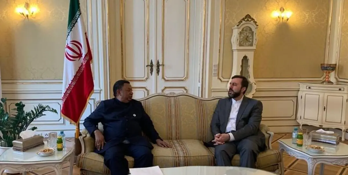 رایزنی غریب آبادی با دبیرکل اوپک