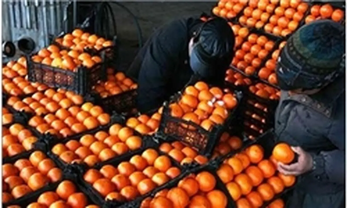 آغاز خرید توافقی مرکبات
