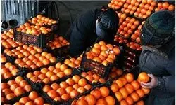 پرتقال ۲۰۰۰ تومان شد/قیمت میوه در 15 آبان 97