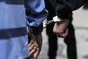 بازگرداندن متهمان فراری 250 میلیون دلار ارز به ایران