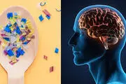 ریزپلاستیک‌ها احتمالا به مغز انسان‌ها هم راه پیدا کرده‌اند
