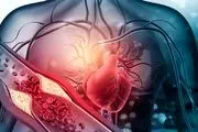 شناسایی یک نوع ژل که سلول‌های قلب را جوان می کند
