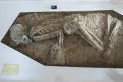 کشف جمجمه ۳هزار ساله در خیابان بهارستان
