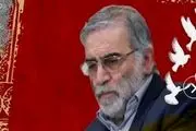 درخواست ایران برای شناسایی و تعقیب عاملان ترور شهید فخری‌زاده
