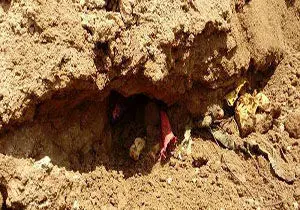 کشف گوری با ۳۰۰ جسد در نزدیکی اردوگاه الرکبان سوریه