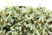 بهار نارنج؛شکوفه‌های معطر،سوغات دلپذیر مازندران
