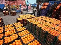 قیمت انواع میوه در میادین میوه و تره بار
