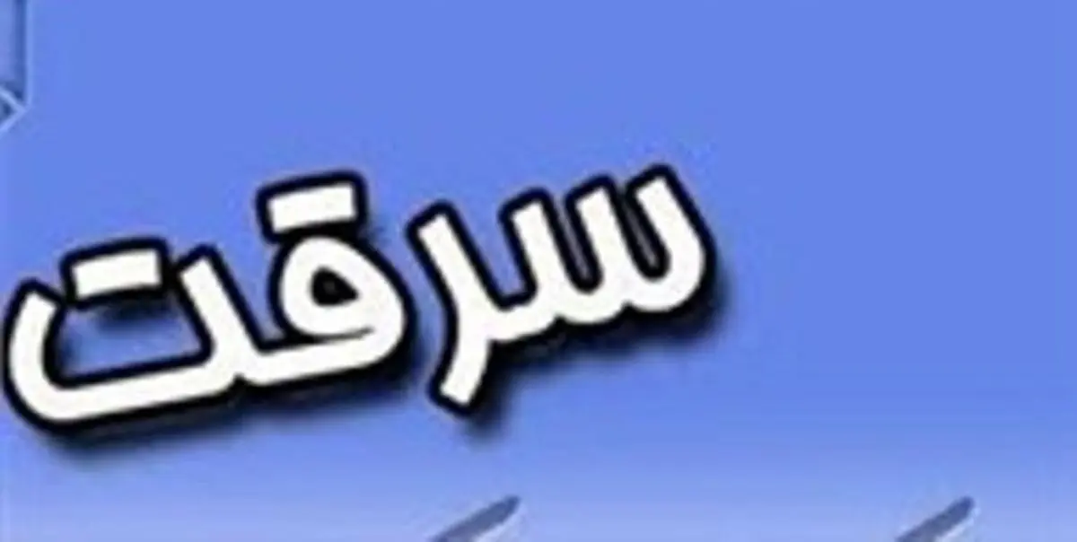 لزوم برخورد قانونی در مبارزه با سرقت و مالخری