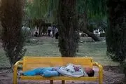 از بزم شبانه معتادان تا بساط قمار در پارک‌ها 