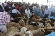 آمادگی کمیته امداد استان تهران برای جمع آوری نذورات مردمی عید قربان