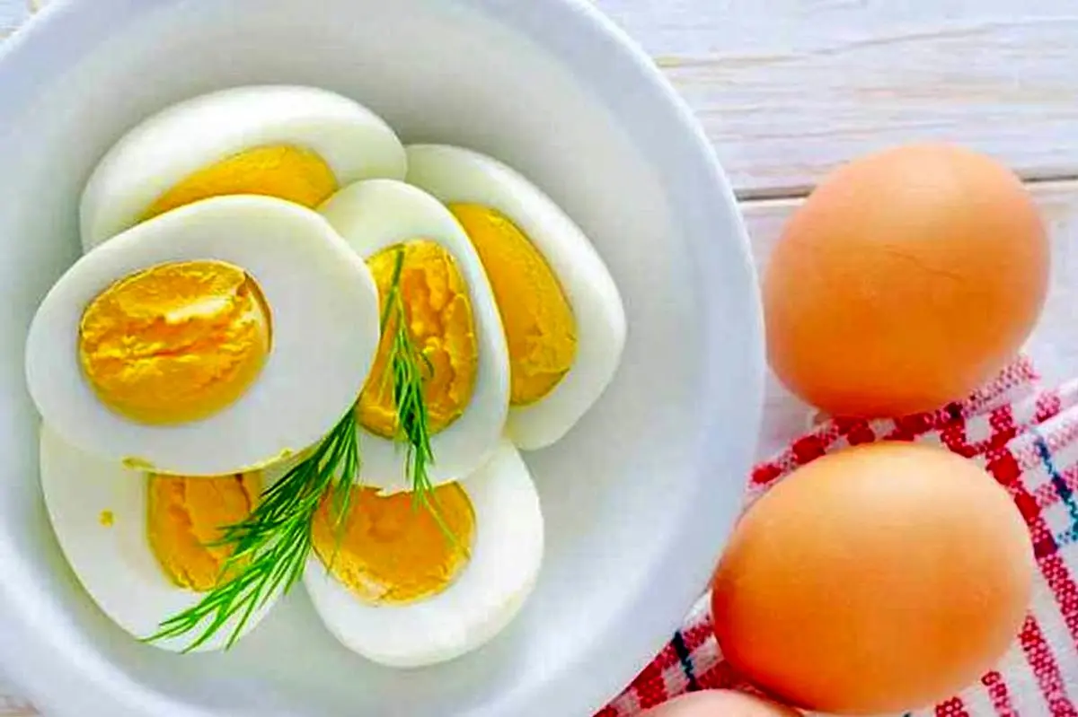 اگر هر روز یک تخممرغ بخوریم چه اتفاقی میافتد؟