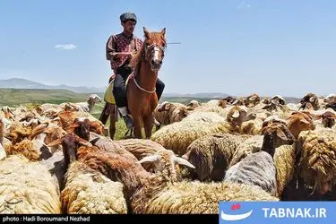 روز ملی روستا و عشایر/گزارش تصویری