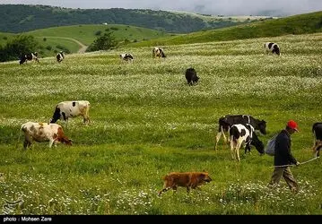طبیعت