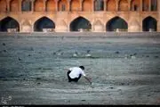  فرونشست زمین‌های مسکونی و بناهای تاریخی در اصفهان 