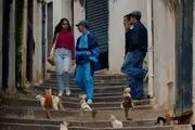 استقبال بی نظیر از فیلم الجزایری نماینده اسکار