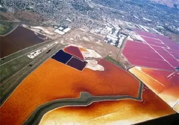 n00159399-r-b-004