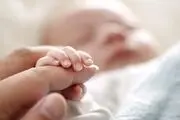 بحران تولد در اروپا از آمریکا پیشی گرفت