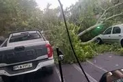 تهرانی ها مراقب توفان باشند
