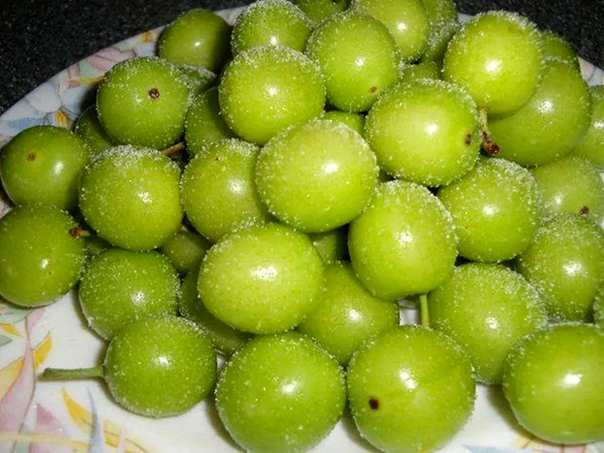 میوههای نوبرانه با قیمتهای نجومی