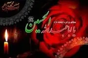 طفلی نخورد آب و سراغ پدر گرفت / شعر