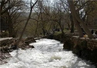 سفر مدیران موسسات گردشگری روسیه به ایران