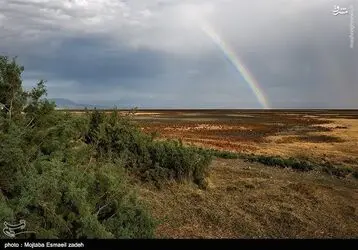 IqYI0onZuTv6