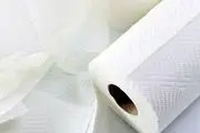 تولید دستمال کاغذی و پوشک شبانه روزی شد