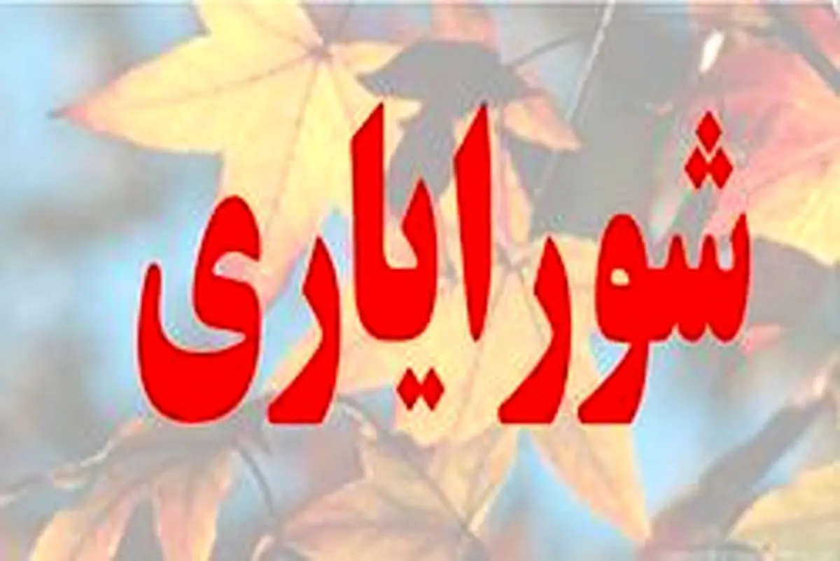 شورای شهر به دنبال حذف شورایاران/ اعضای شورای شهر با شعار حمایت تیشه به ریشه شورایاری زدند