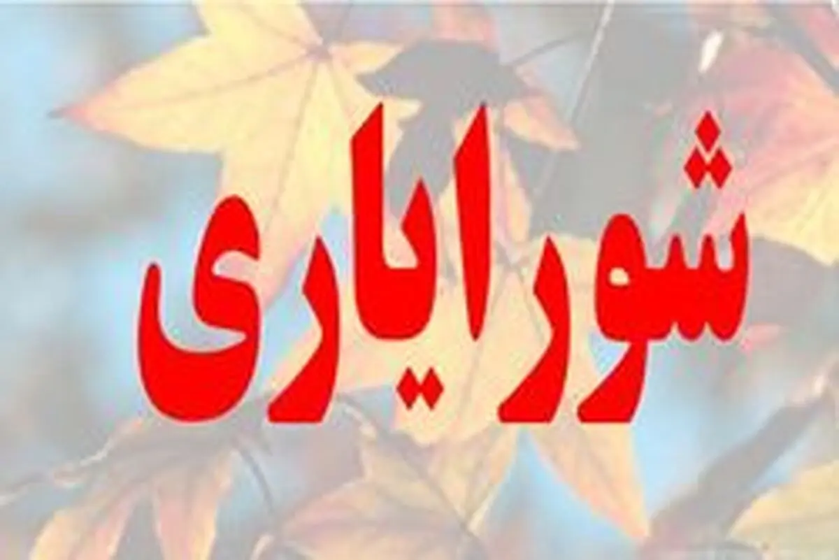 شورای شهر به دنبال حذف شورایاران/ اعضای شورای شهر با شعار حمایت تیشه به ریشه شورایاری زدند