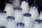 با شیر هموژنیزه، ‌استرلیزه و پاستوریزه بیشتر آشنا شوید