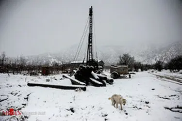 thm_1020482_693