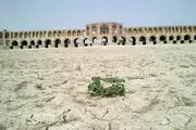
تلاش برای احیای زاینده رود
