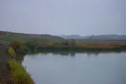  افزایش آب تالاب استیل آستارا/ عکس