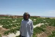 کمی آب و گرانی کود شیمیایی مشکل اصلی کشاورزان است