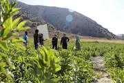 فیلمبرداری «روشنایی» به پایان رسید