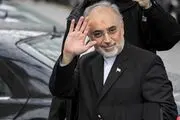 صالحی به وین رفت