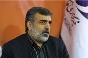 خرید تجهیزات برای رآکتور اراک نقض توافق ژنو نیست