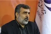 خرید تجهیزات برای رآکتور اراک نقض توافق ژنو نیست