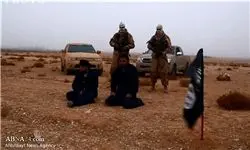 داعش 12 عضو خود را اعدام کرد 