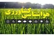 کشاورزان و باغداران هشدار تنش گرمایی را جدی بگیرند

