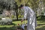 رئیسی: حفظ محیط زیست باید بیش از پیش مورد توجه قرار بگیرد
