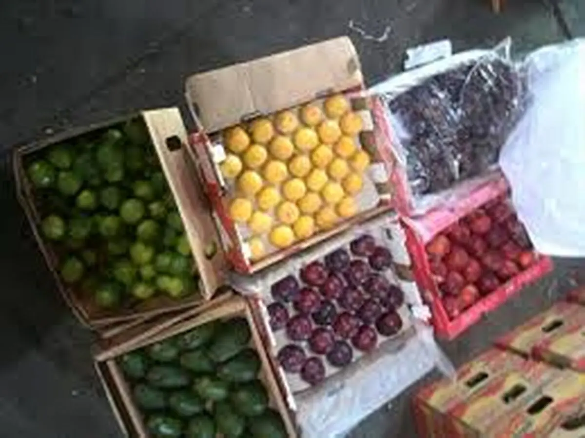 انتقال محل توزیع میوه‌های قاچاق از تهرا ن به شهرستان‌ها