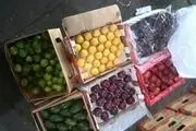 قاچاق میوه‌های عجیب و غریب، با هواپیما !