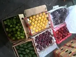 انتقال میوه‌های ممنوعه به شهرستان‌ها
