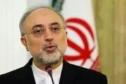 صالحی بعد از تحلیف ترامپ: ما می‌خواهیم که برجام باقی بماند 