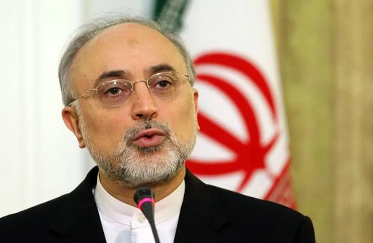 صالحی بعد از تحلیف ترامپ: ما میخواهیم که برجام باقی بماند