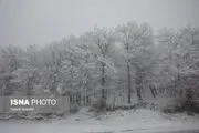 
برف و باران و باد در ۲۸ استان
