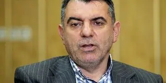 قدرت پوری حسینی فراتر از وزیر اقتصاد است
